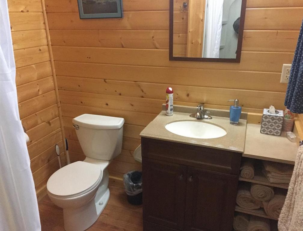 Talkeetna Lakeside Cabins Denali Luaran gambar
